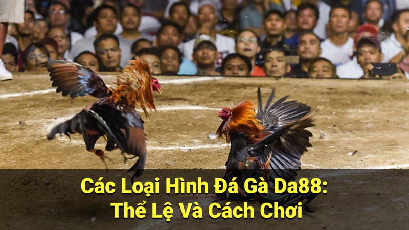 Các Loại Hình Đá Gà Da88: Thể Lệ Và Cách Chơi