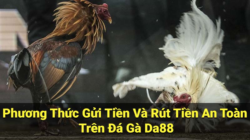 Phương Thức Gửi Tiền Và Rút Tiền An Toàn Trên Đá Gà Da88