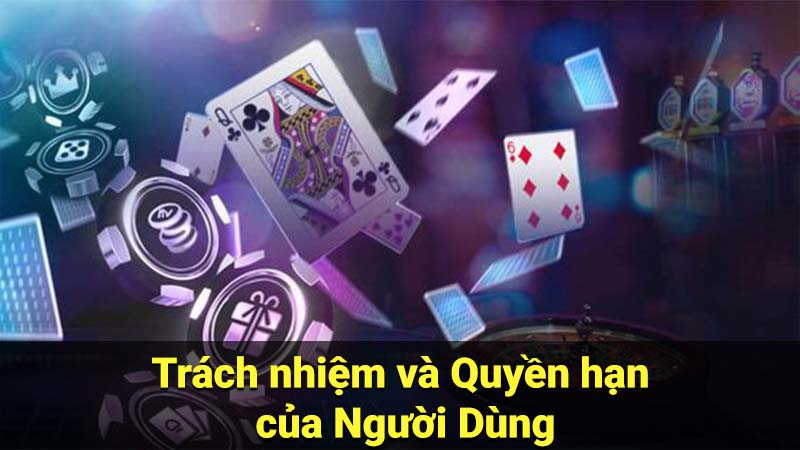 Trách nhiệm và Quyền hạn của Người Dùng